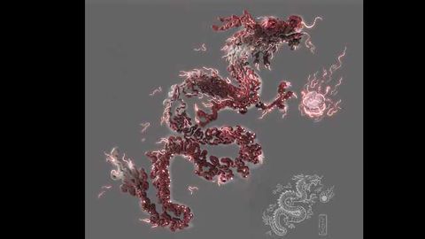 Decoding the Language of the Genome