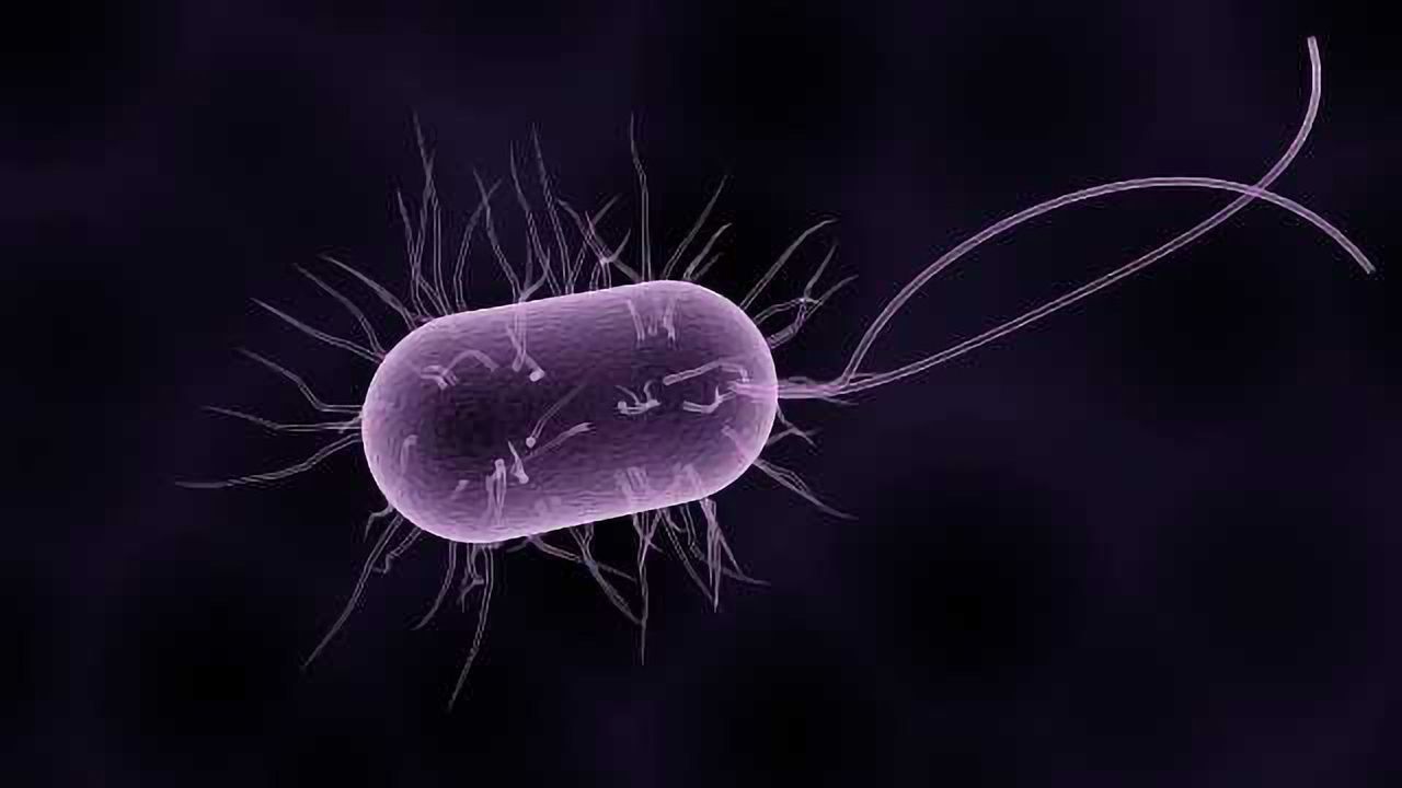 Bacteria Alter Their Gene Expression to Exploit Our Cells