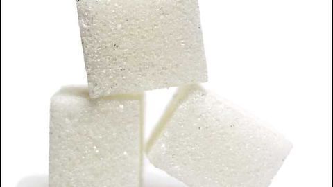 Sugar Rots Your Brain