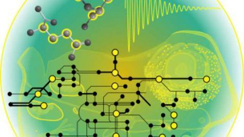 New Method Uses NMR to Study Metabolism