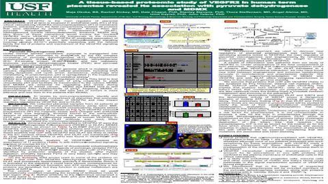 A Tissue-based Proteomic Study of VEGFR2 in Human Term Placentas Revealed its Association with Pyruvate Dehydrogenase and MDMX