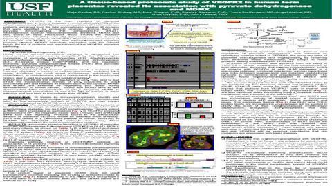 一种基于组织的VEGFR2在人术语胎盘中的蛋白质组学研究