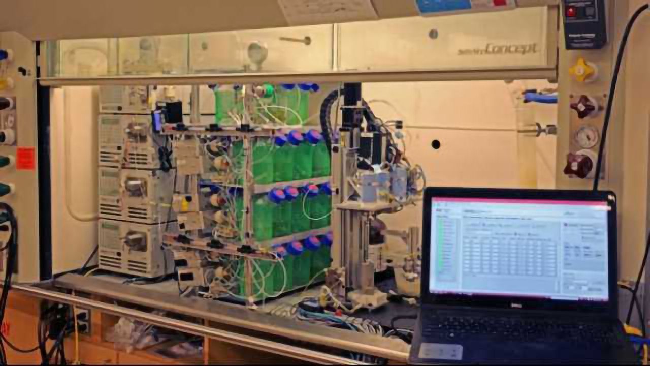 Automated Peptide Synthesis in Flow