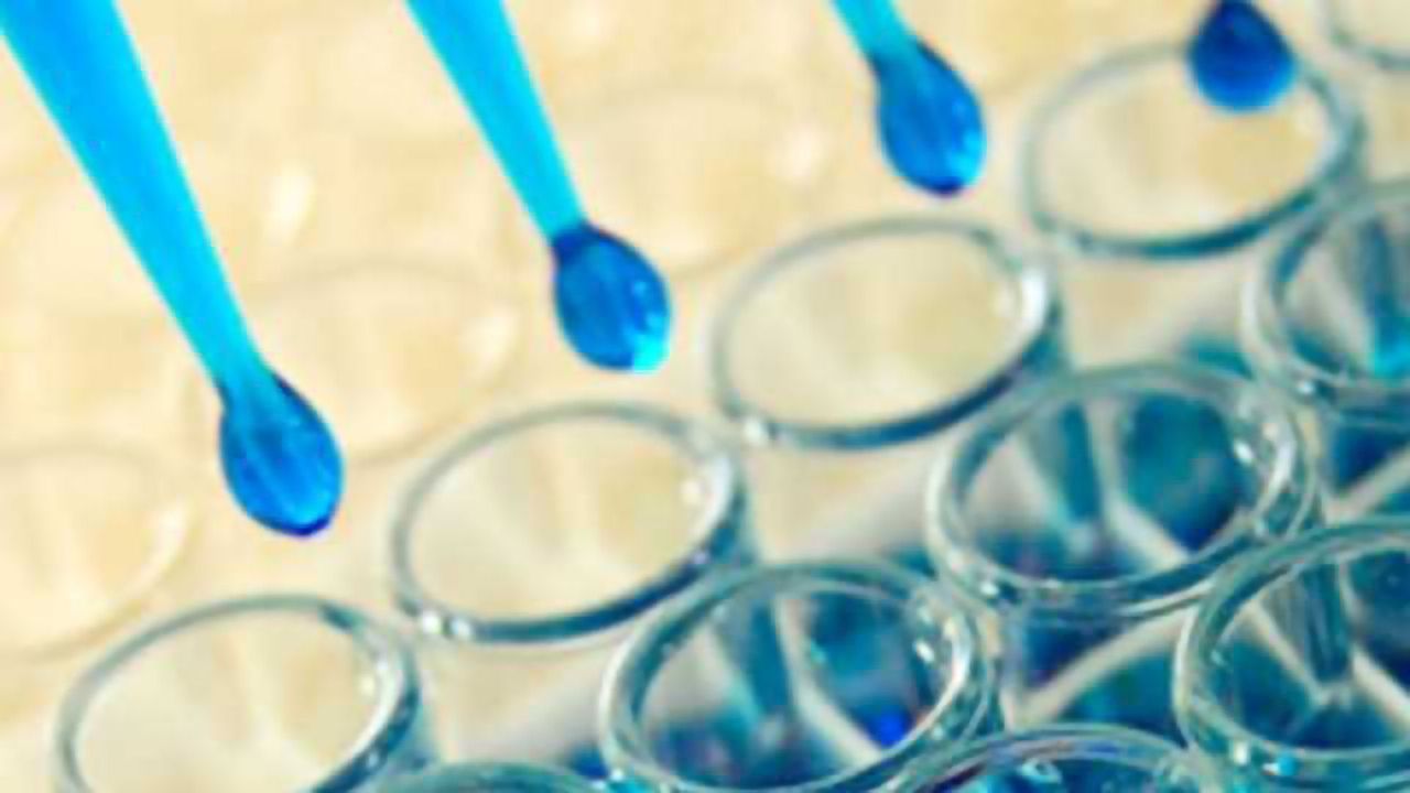 Innovate UK’s Biocatalyst Programme Awards Arquer Diagnostics Funding