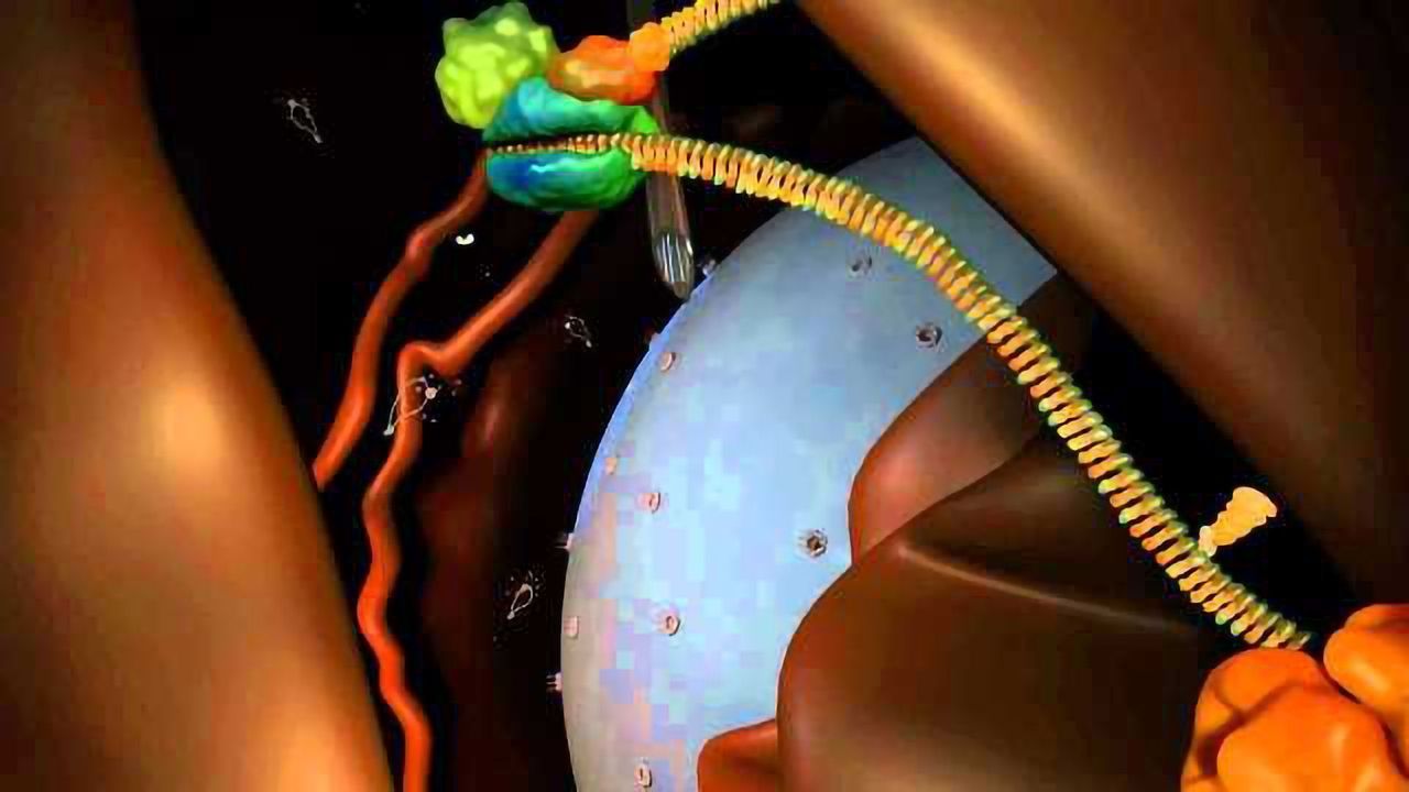 Gene Silencing to Treat Huntington's