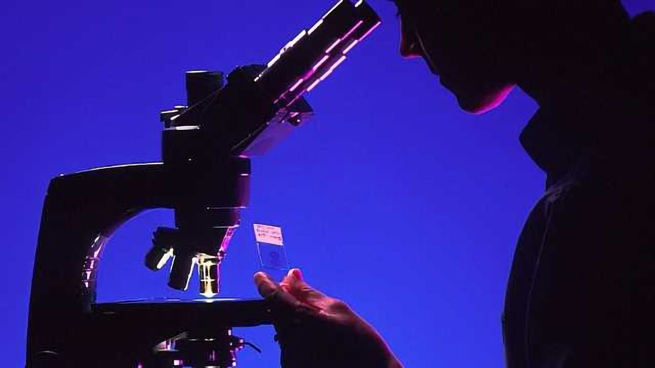 Microscopy Offers Breakthrough Imaging of Melanoma