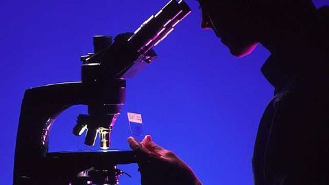Microscopy Offers Breakthrough Imaging of Melanoma