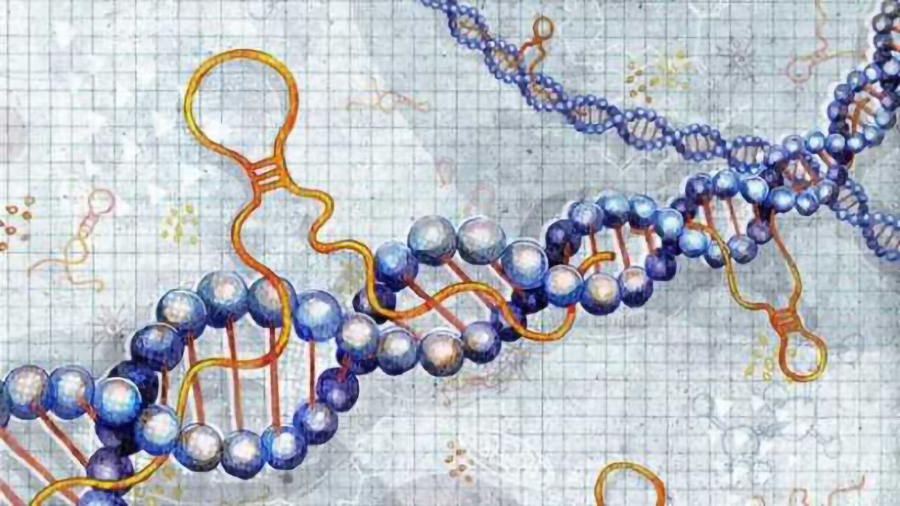 Decoding the Dark Side of the Genome