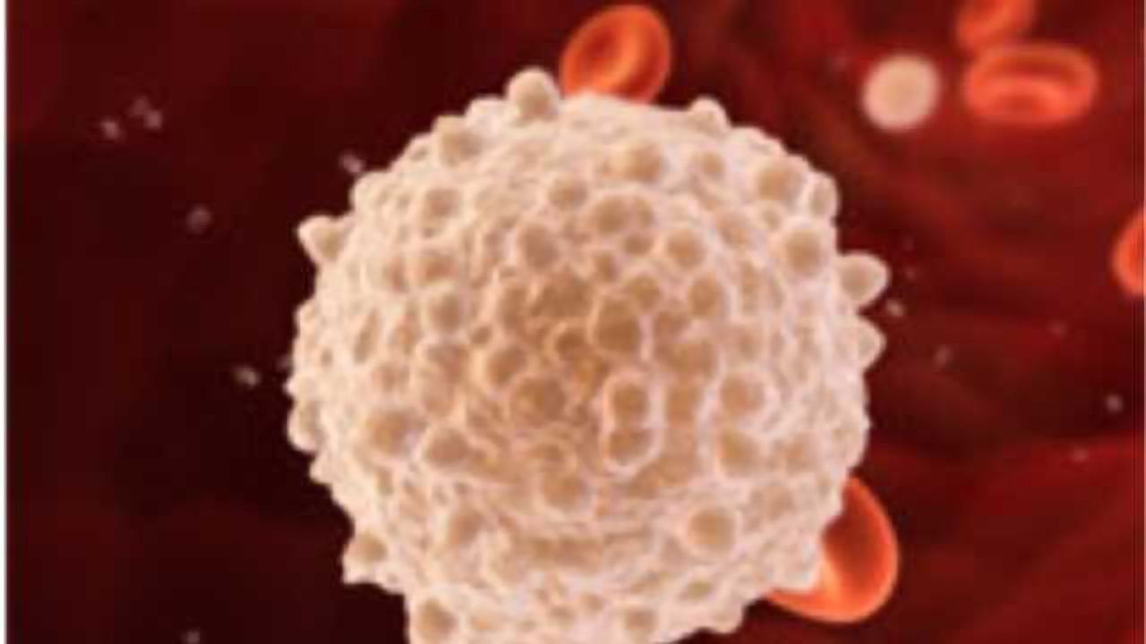 Autophagy Keeps Blood Stem Cells in Check