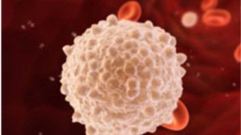 Autophagy Keeps Blood Stem Cells in Check