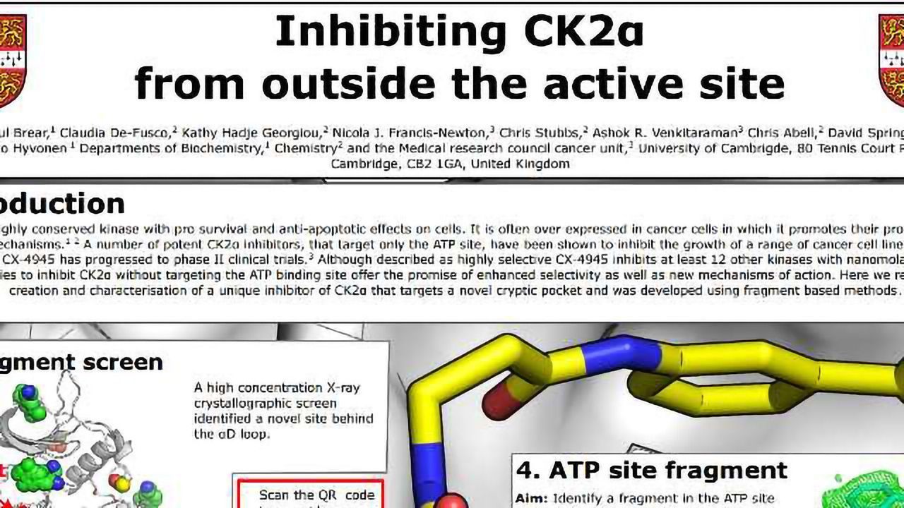 Inhibiting CK2α from Outside the Active Site