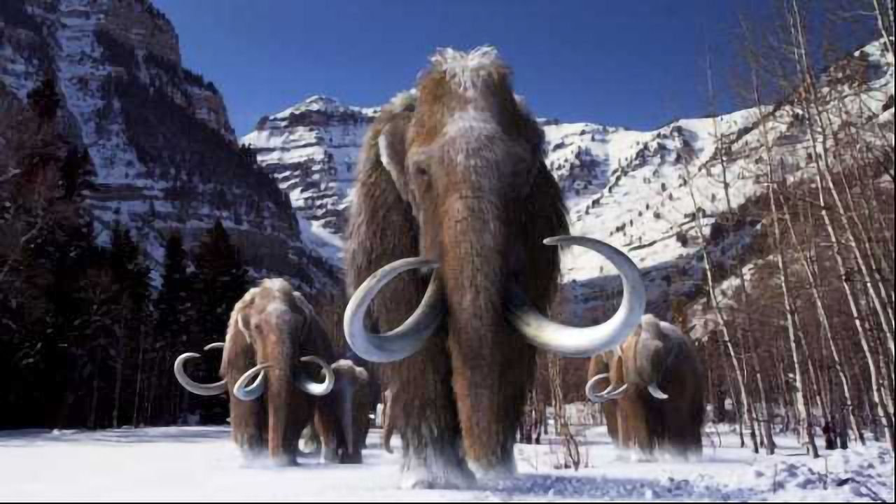 Woolly Mammoths had a Mutational Meltdown Before Extinction