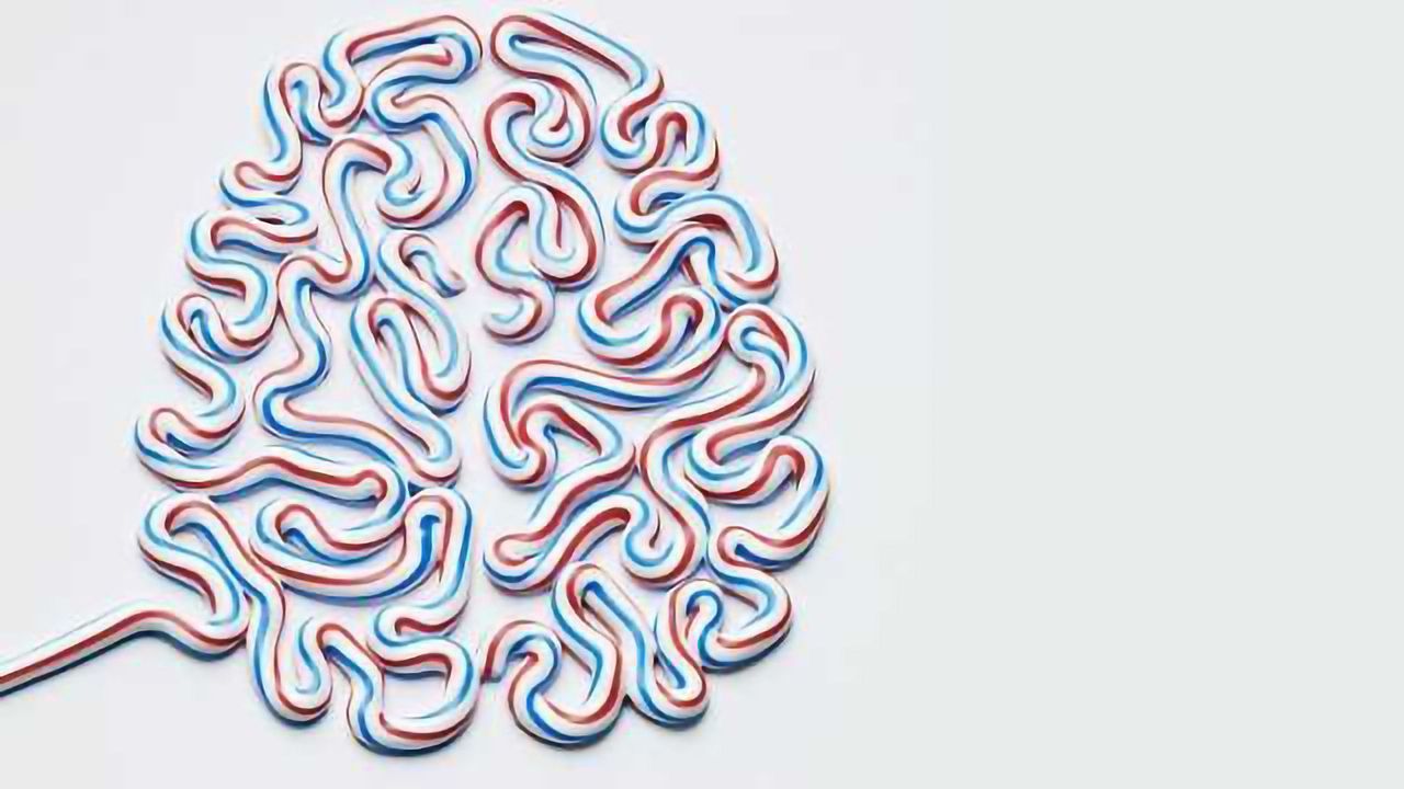 Toothpaste Brain