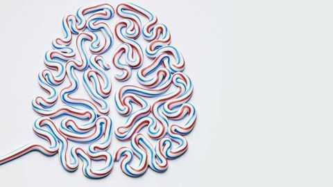 Toothpaste Brain