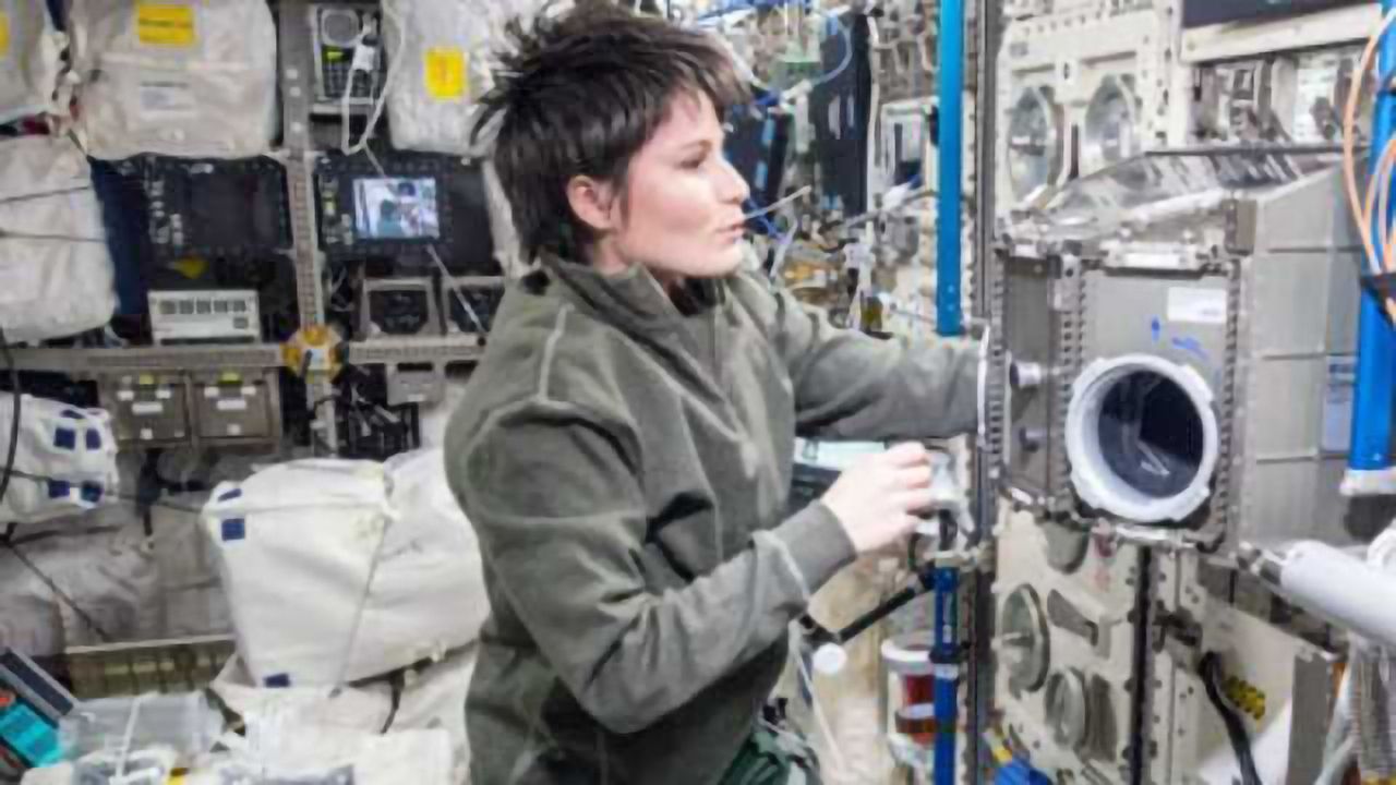 Good News for Astronauts - Cells Adapt to Microgravity in Under a Minute