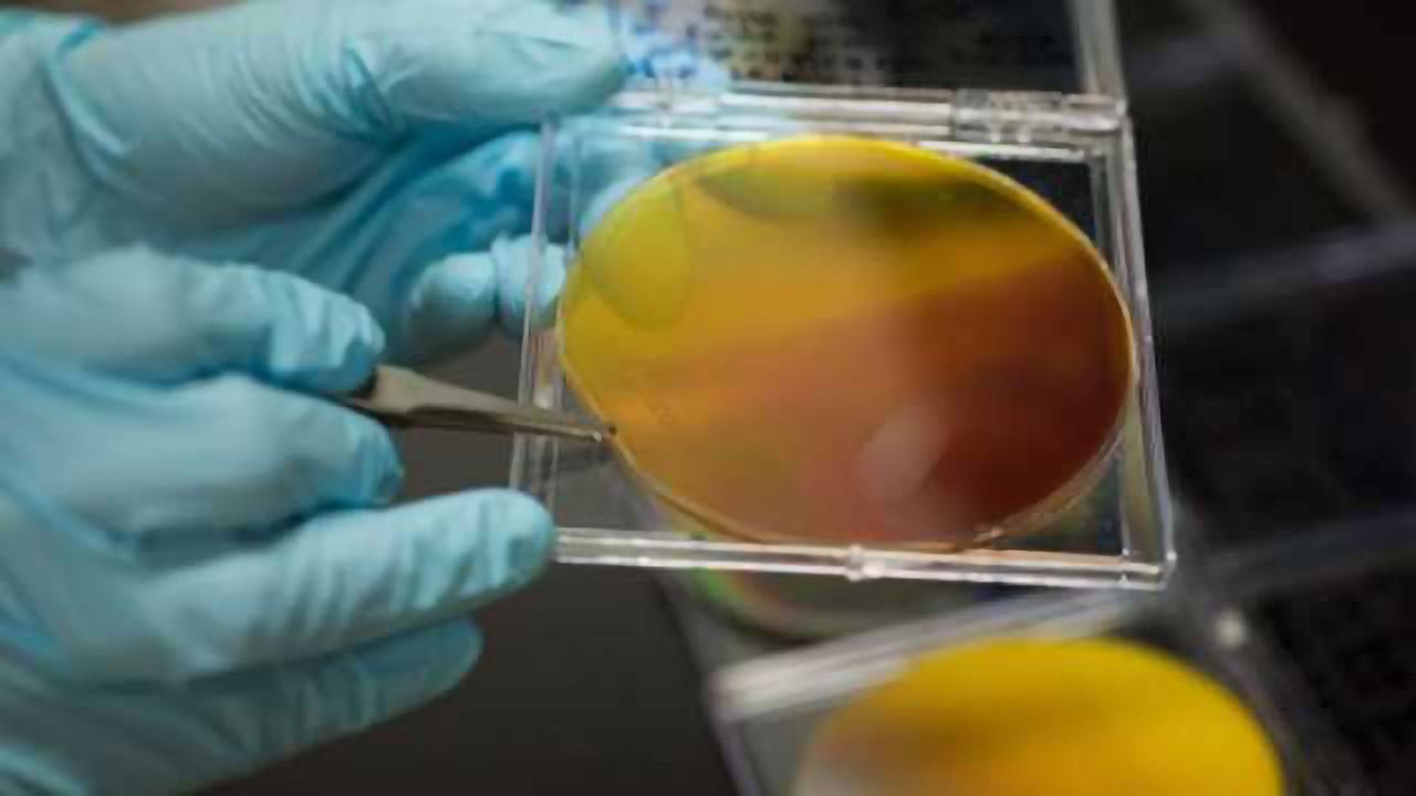 New Materials Could Turn Water into Fuel