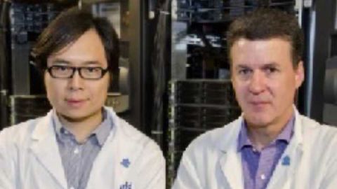 New Light Shed on Autism