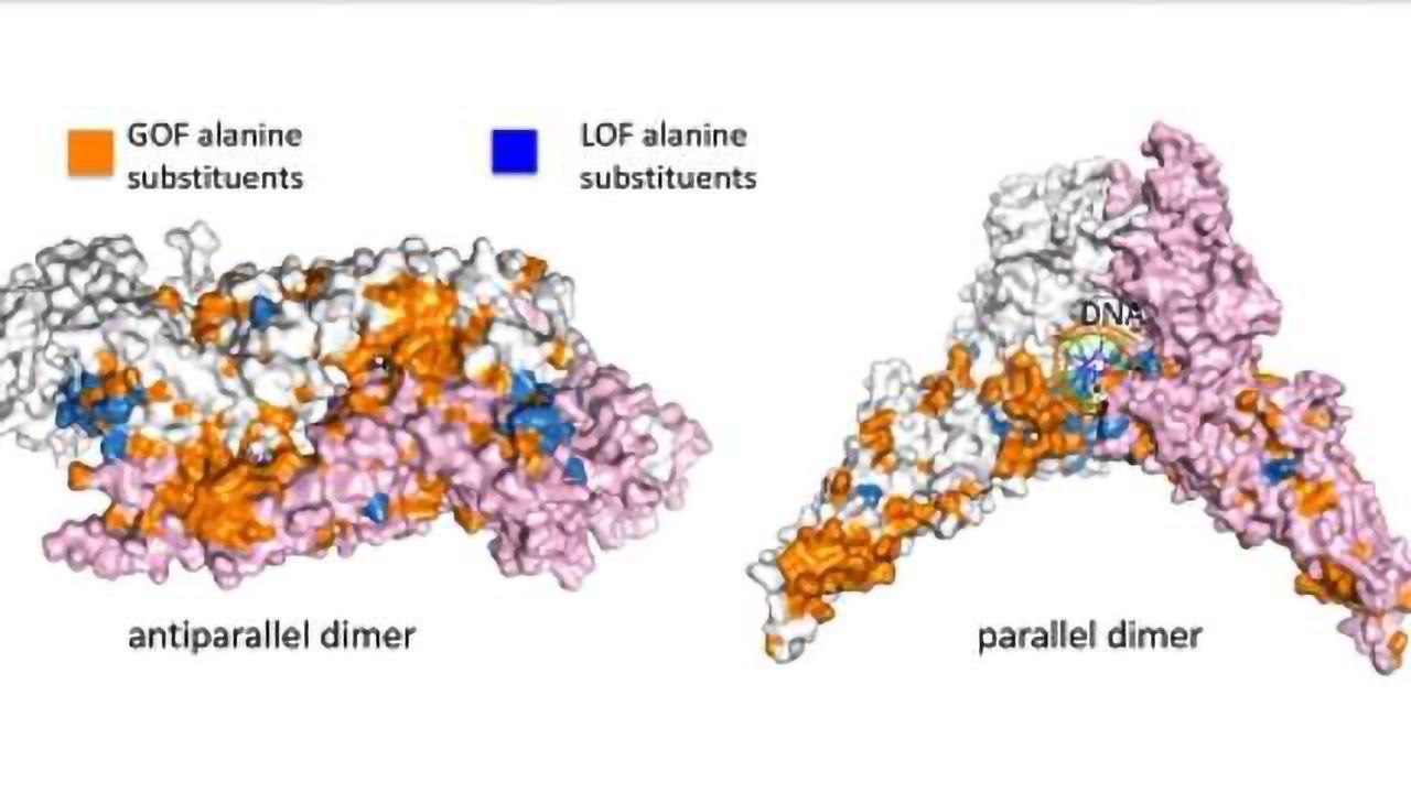 Easier Disease Diagnosis with “Smart” Genetic Library