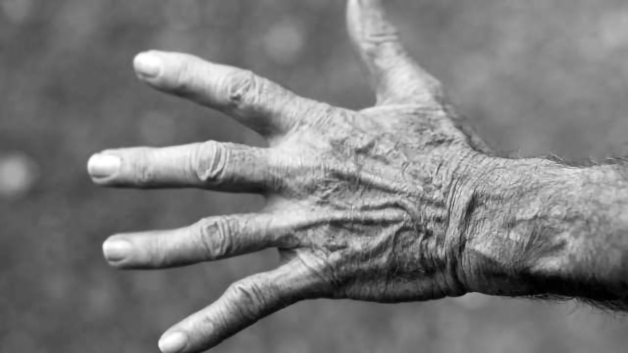 Forensic Review of Abuse Amongst Elderly