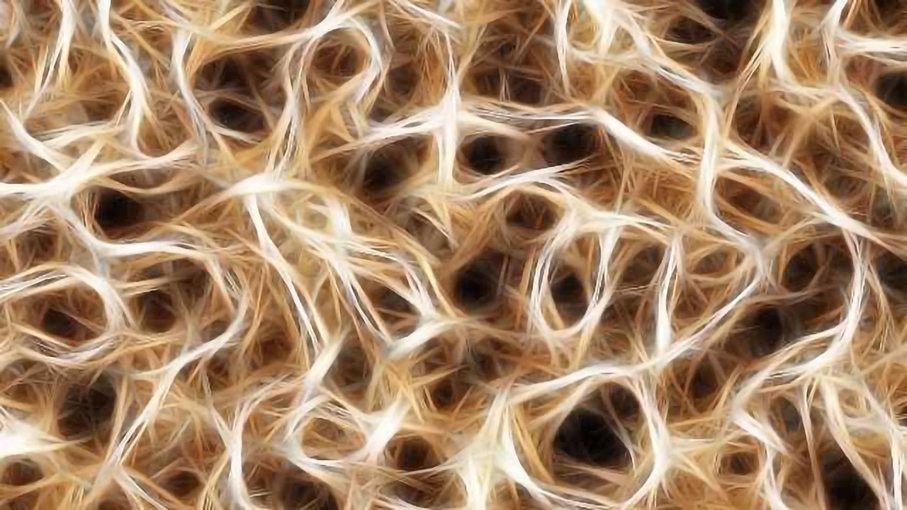 Wire Power, the Brain's Fire Power
