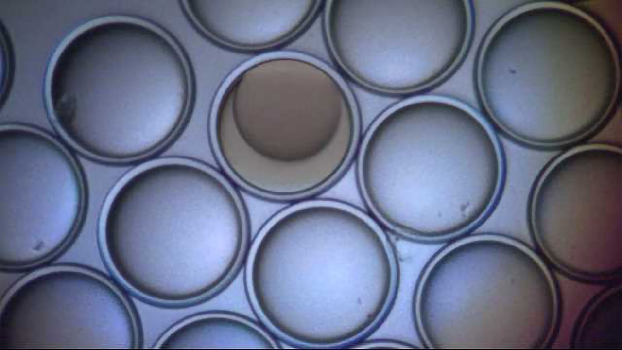 Microscopes Made from Liquid Droplets