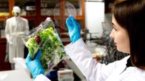 New Biodegradable Packages Keep Food Fresh