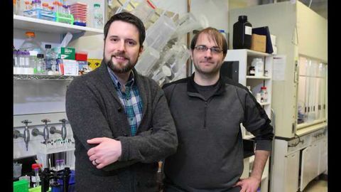 Chicago Academic Chemists Win NSF Career Awards