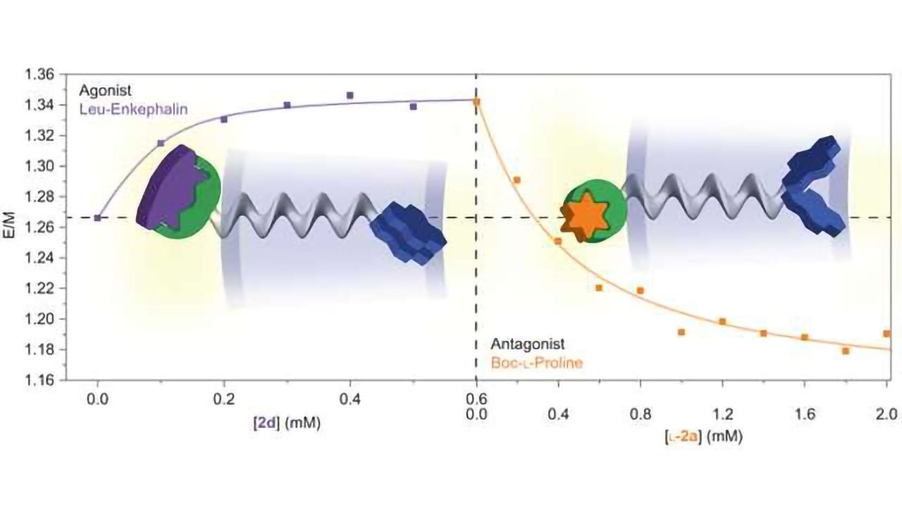 G-Protein Receptor Mimicked