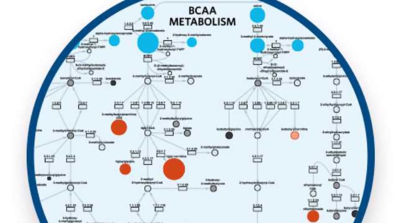 Overcoming Challenges of Metabolomics