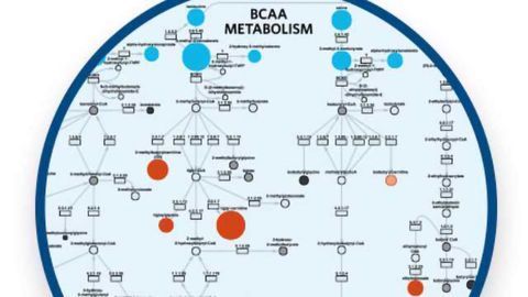 Overcoming Challenges of Metabolomics