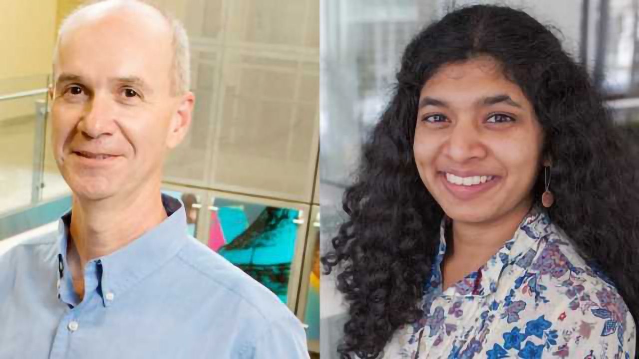 Gene Editing in the Third Domain of Life