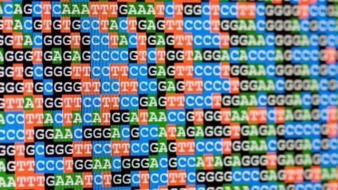 Harnessing the Human Genome