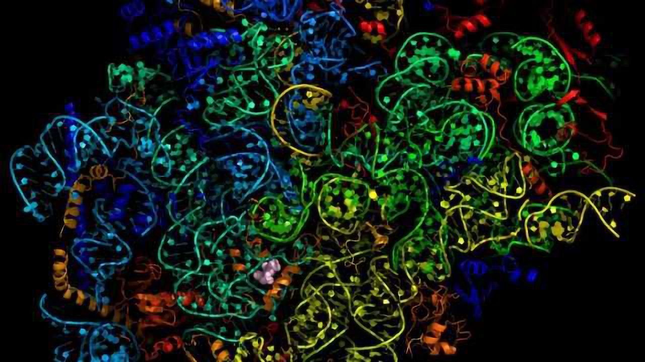 Malaria Drug Atomically Mapped