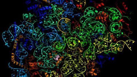 Malaria Drug Atomically Mapped