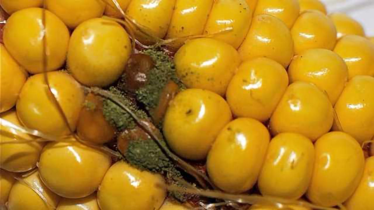 Small Molecule Saves Crops from Contamination