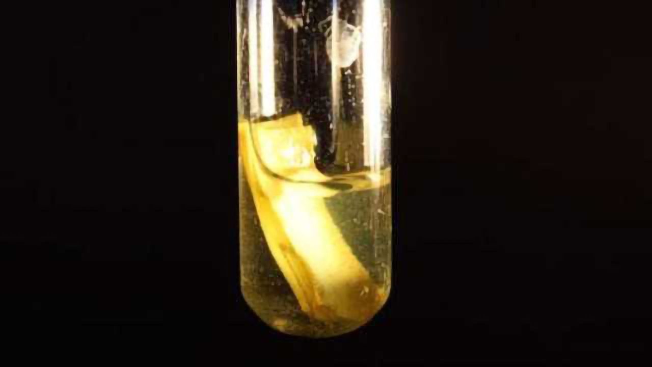 Solar Power Produces Clean Hydrogen
