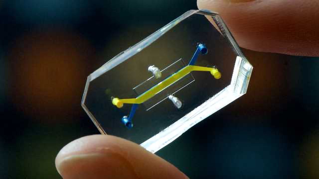 Novel Technology Expands the Use of Organs-on-chips