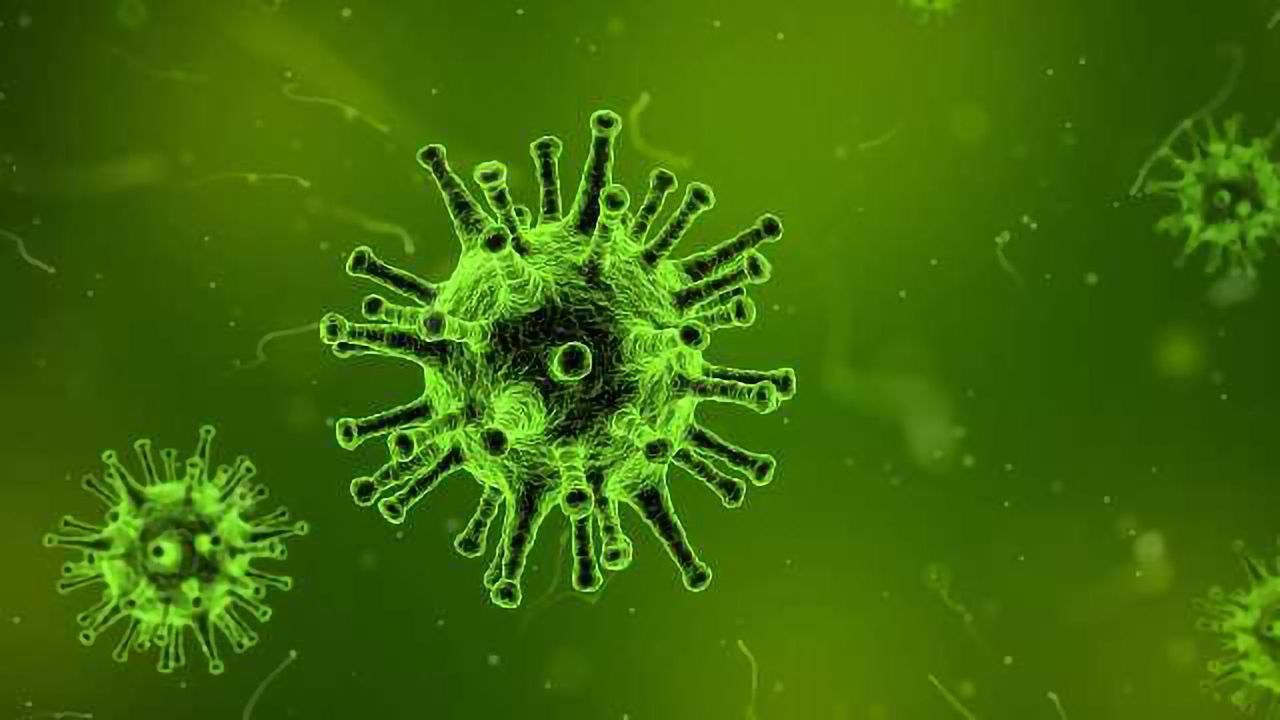 Zika Immunity Molecule Found