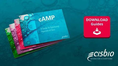 4 Guides to Optimize your Gαs and Gαi GPCR assays