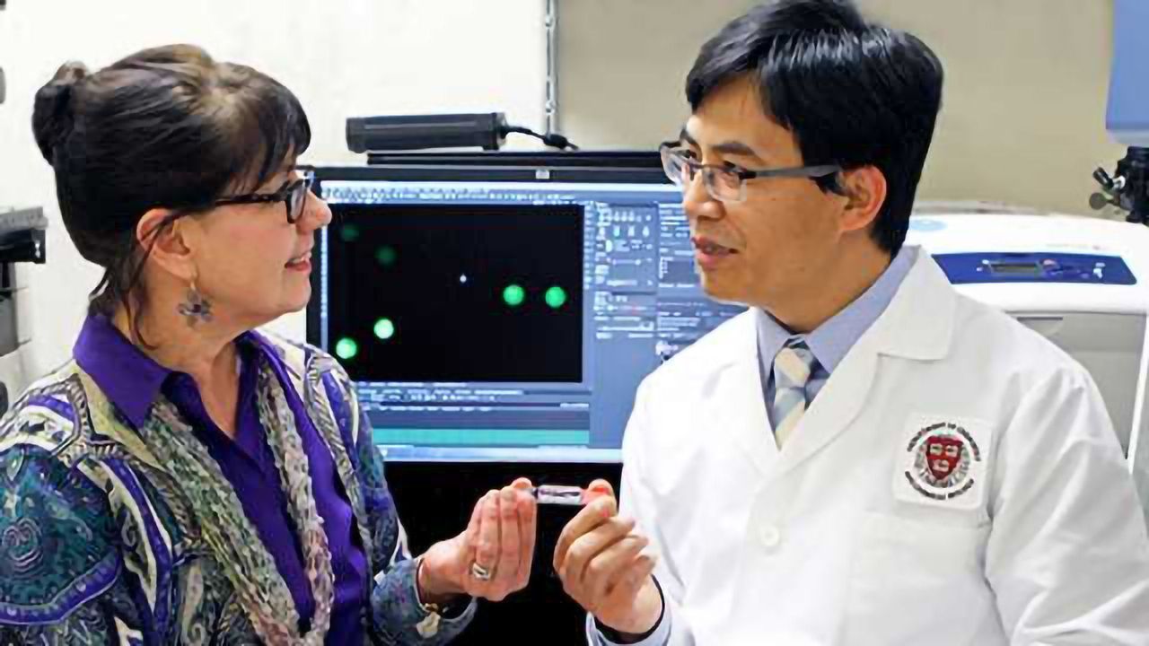 Paper-Based Device Detects Pertussis at Point-of-Care