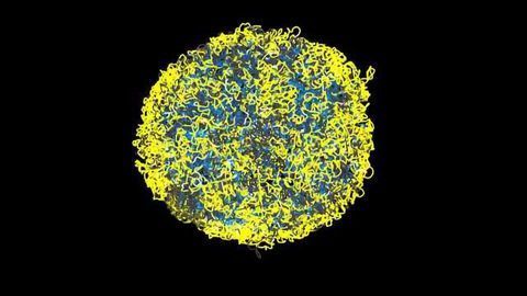 Visualising DNA in Action