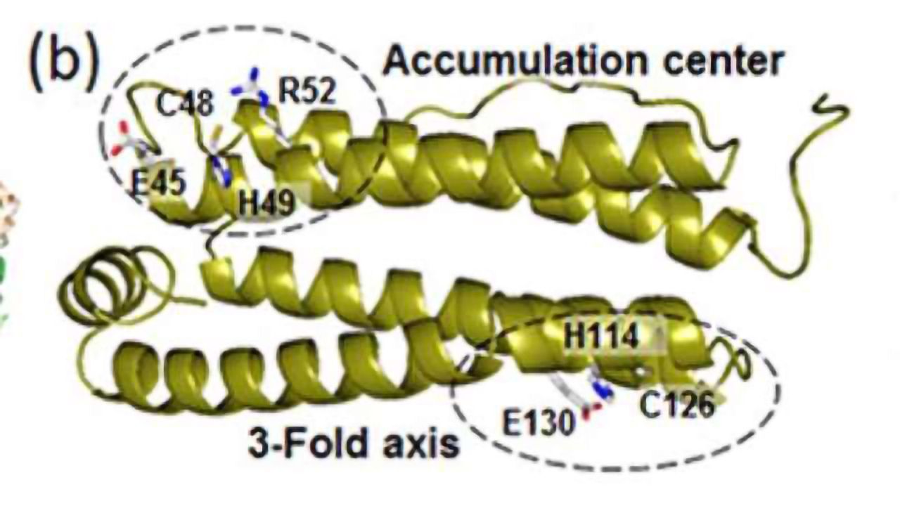 Crystallography Uncovers Nanocages for Gold Particles