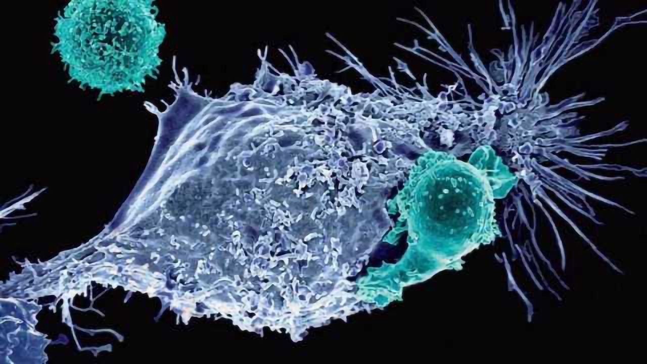 Curing Cancer with CRISPR
