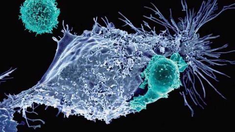 Curing Cancer with CRISPR