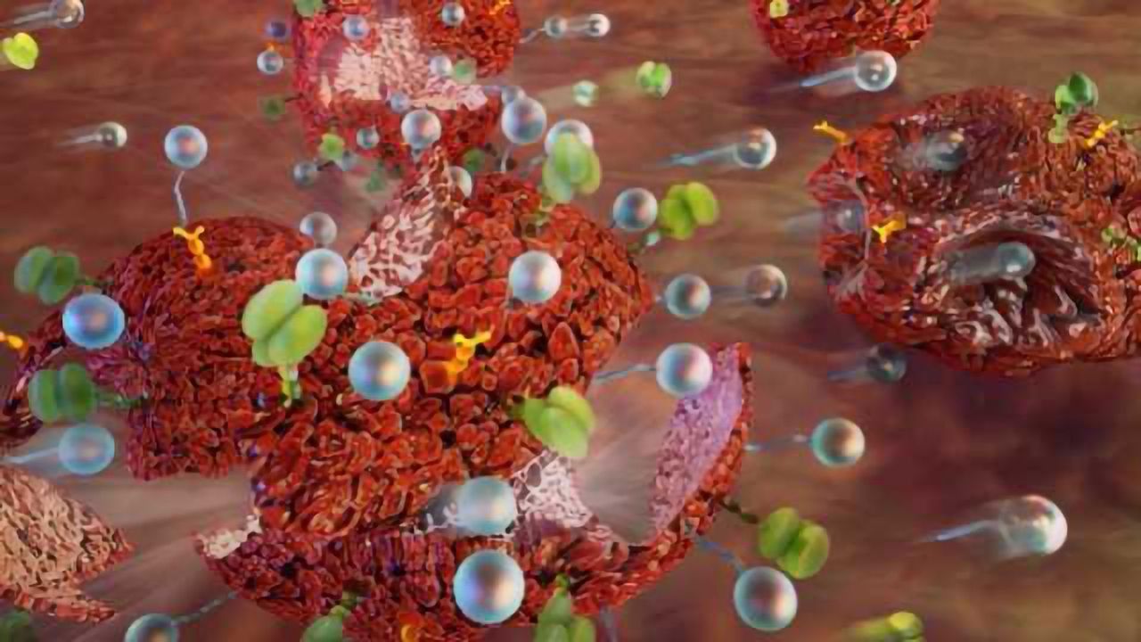 Improving the Performance of Immune-based drugs