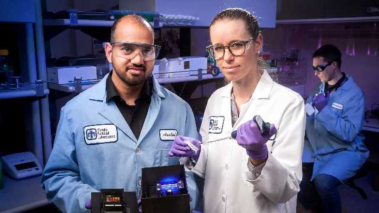 Diagnosing Zika With A Smartphone