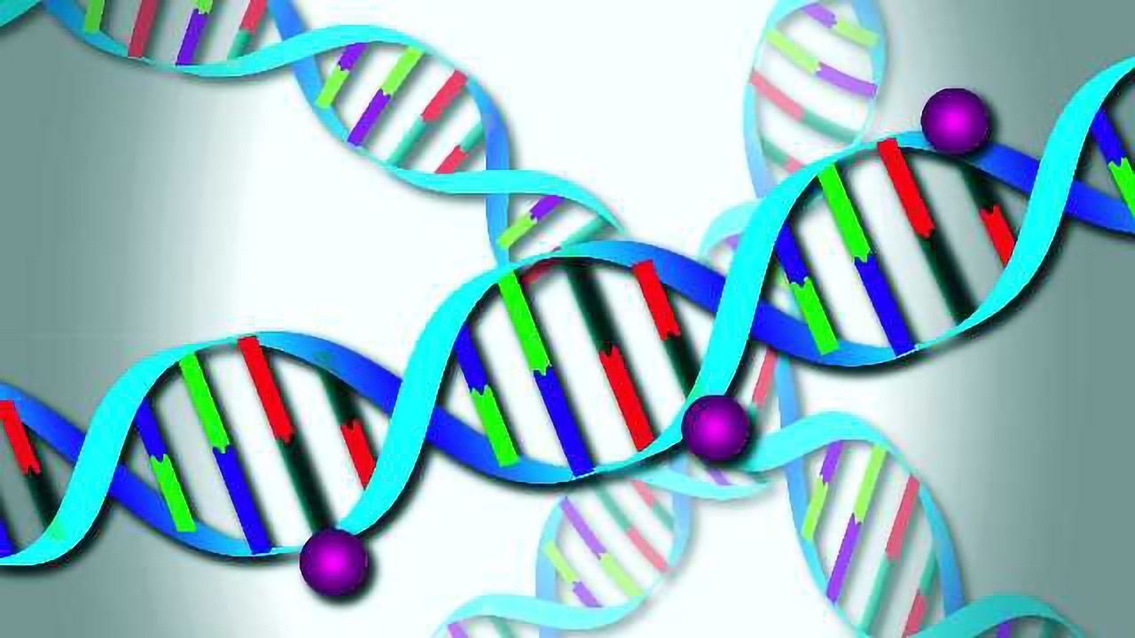 Epigenetic Labels Predict Increased Mortality