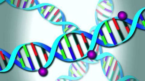 Epigenetic Labels Predict Increased Mortality