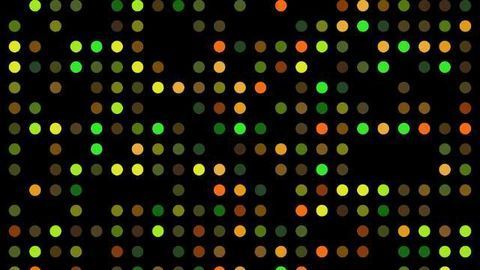 First Comprehensive Pan-Ethnic Assay for Expanded Carrier Research