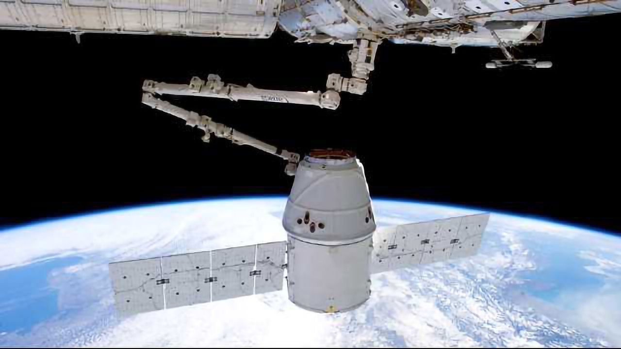 Investigating the Adaptability of Cells in Space